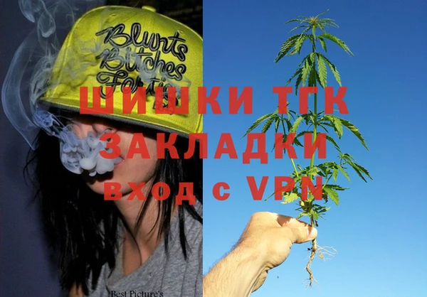 хмурый Инсар