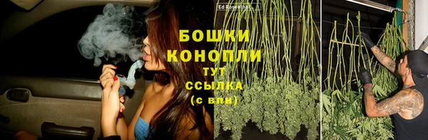 МДПВ Щигры