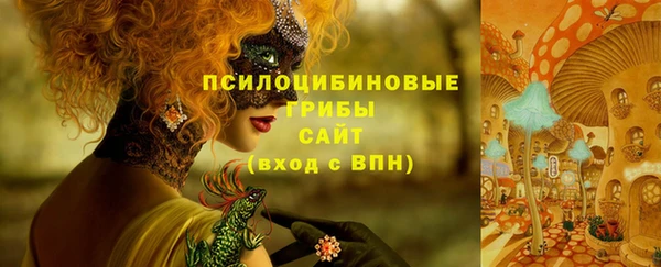 бутират Инта