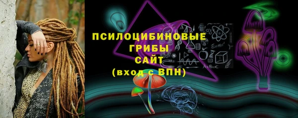 твердый Каменка