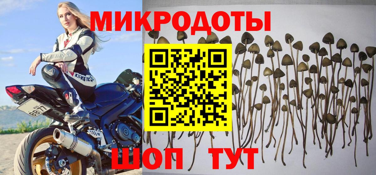 Галлюциногенные грибы MAGIC MUSHROOMS  Вход с VPN  Конаково  Галлюциногенные грибы GOLDEN TEACHER 