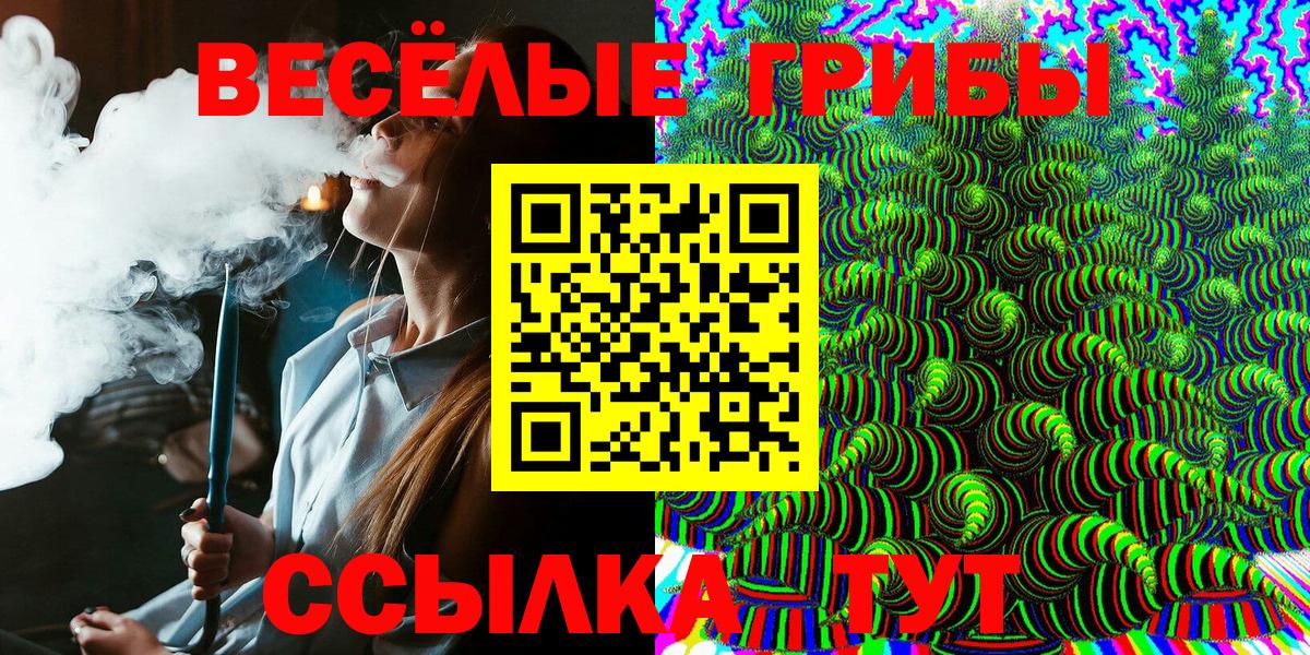 Псилоцибиновые грибы Psilocybe Конаково